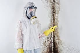 Professional Mold Removal & Remediation in Matamoras, OH